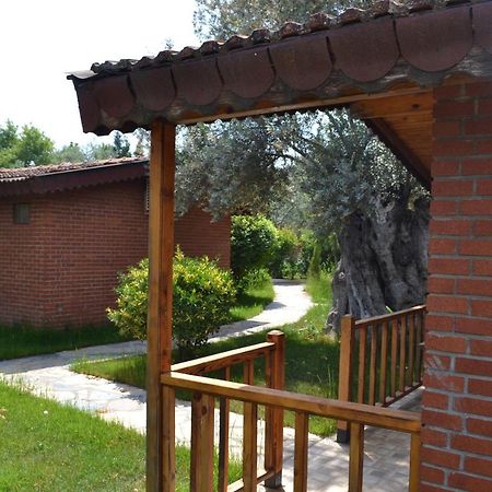 Kervan Tatil Koeyue Эдремит Экстерьер фото
