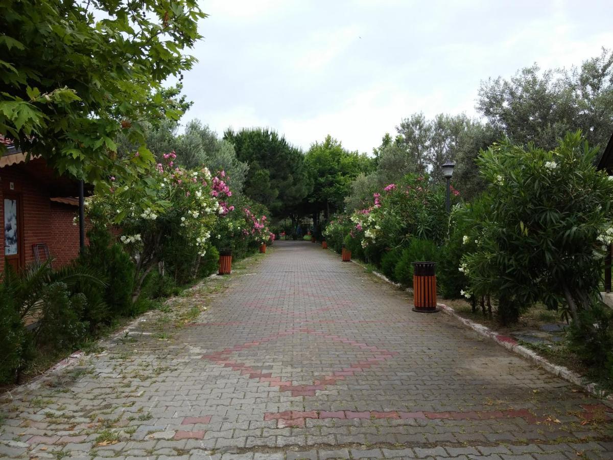 Kervan Tatil Koeyue Эдремит Экстерьер фото